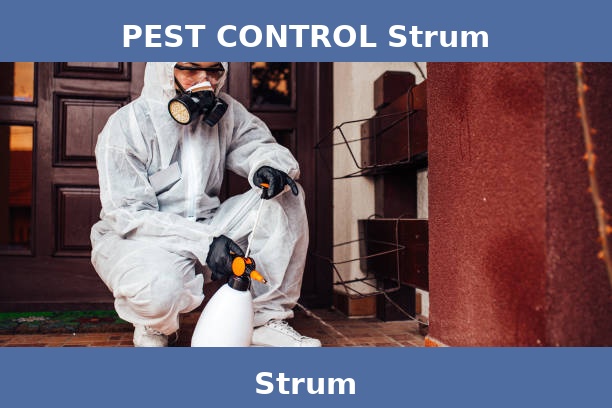 PEST CONTROL Strum